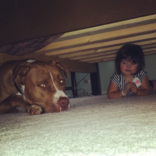 10410925_10154545846325297_2014120170052618331_n