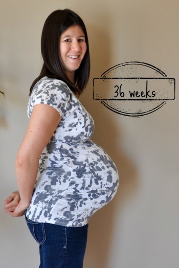 36 weeks