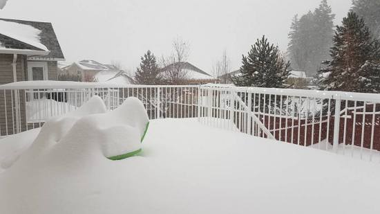 23270520_10159522436295297_7623711078348753989_o