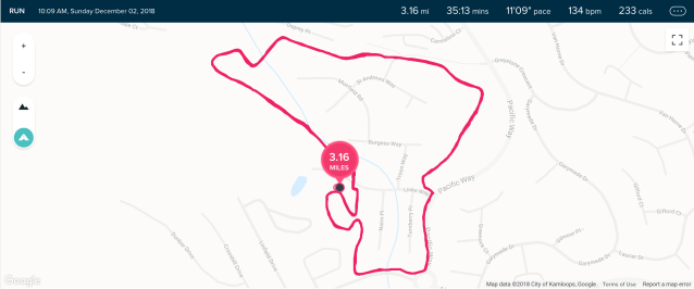 Screen Shot 2018-12-03 at 6.51.02 AM